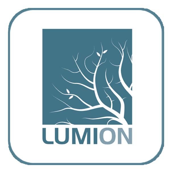 LumionV4.5~2024 